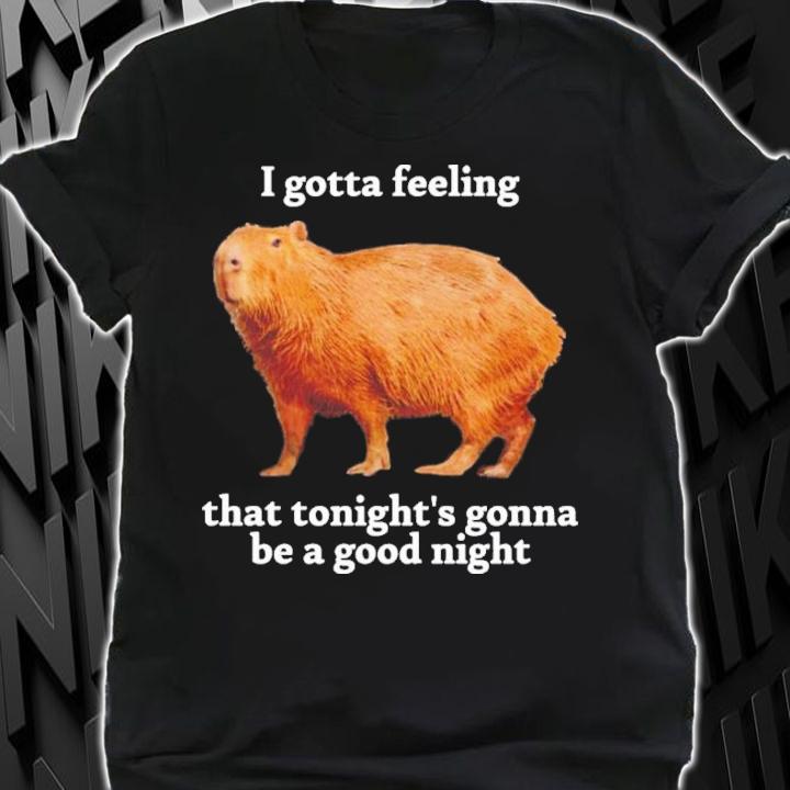 I Gotta Feeling That Tonight's Gonna Be A Good Night James Mouse T-Shirt t-shirt