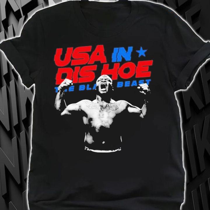 USA In Dis Hoe The Black Beast Derrick Lewis Shirt t-shirt